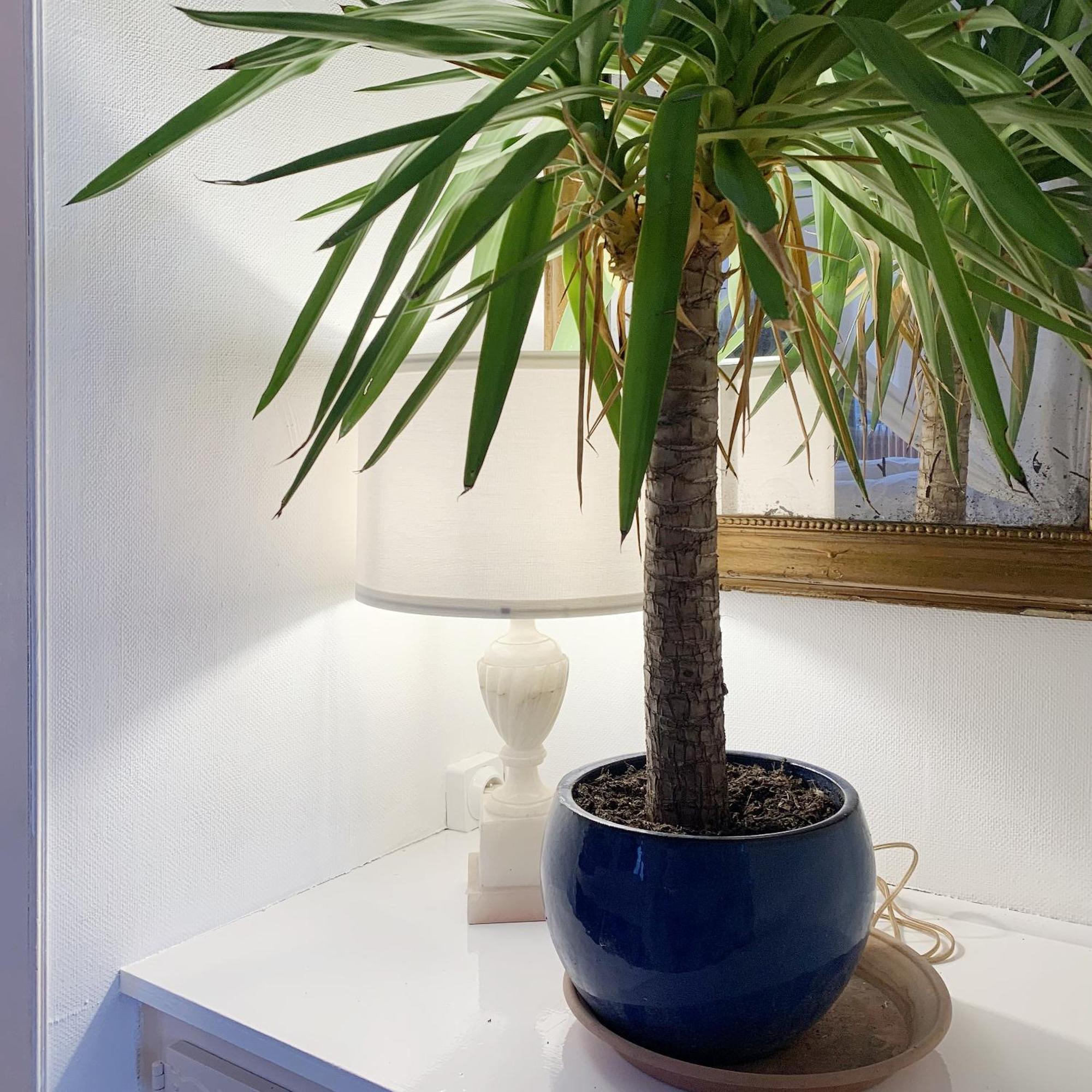 Appartements 4 Vents By La Boite En Plus سونلي المظهر الخارجي الصورة